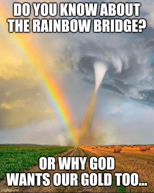 Heaven | DO YOU KNOW ABOUT THE RAINBOW BRIDGE? OR WHY GOD WANTS OUR GOLD TOO... | image tagged in too damn high | made w/ Imgflip meme maker