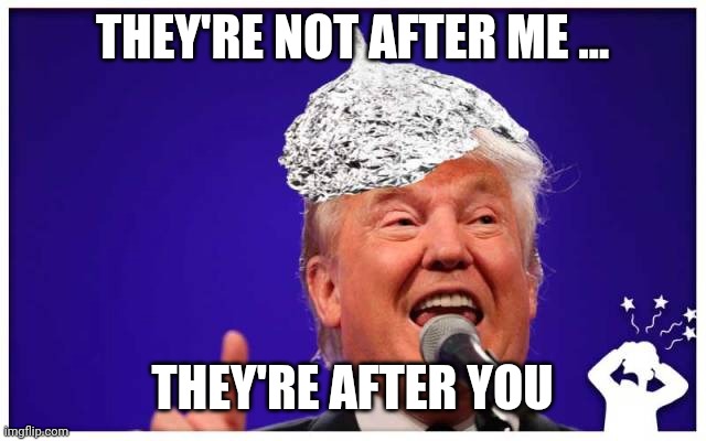 Trump tin foil hat | THEY'RE NOT AFTER ME ... THEY'RE AFTER YOU | image tagged in trump tin foil hat | made w/ Imgflip meme maker