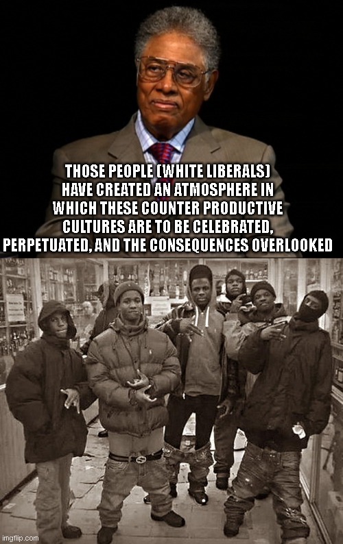 Thomas Sowell |  THOSE PEOPLE (WHITE LIBERALS) HAVE CREATED AN ATMOSPHERE IN WHICH THESE COUNTER PRODUCTIVE CULTURES ARE TO BE CELEBRATED, PERPETUATED, AND THE CONSEQUENCES OVERLOOKED | image tagged in thomas sowell,all my homies hate | made w/ Imgflip meme maker