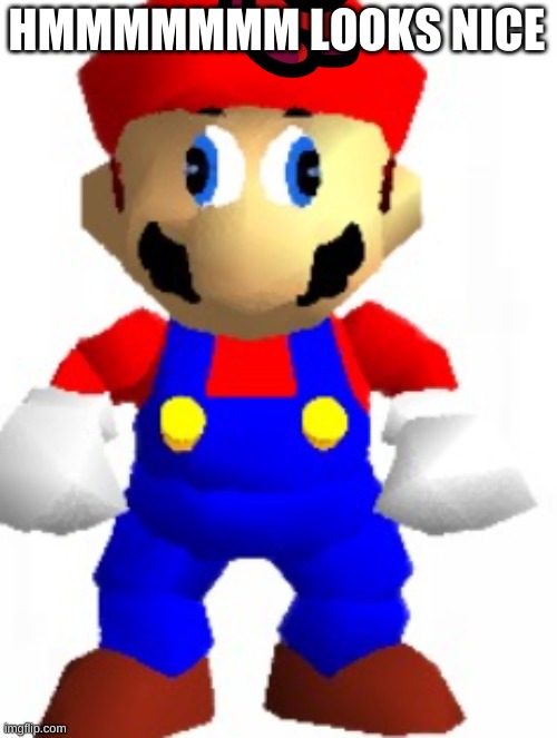 Mairo | HMMMMMMM LOOKS NICE | image tagged in mairo | made w/ Imgflip meme maker