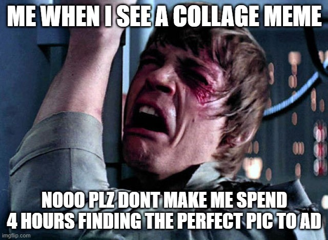 Isn't it tru tho? | ME WHEN I SEE A COLLAGE MEME; NOOO PLZ DONT MAKE ME SPEND 4 HOURS FINDING THE PERFECT PIC TO AD | image tagged in nooo | made w/ Imgflip meme maker