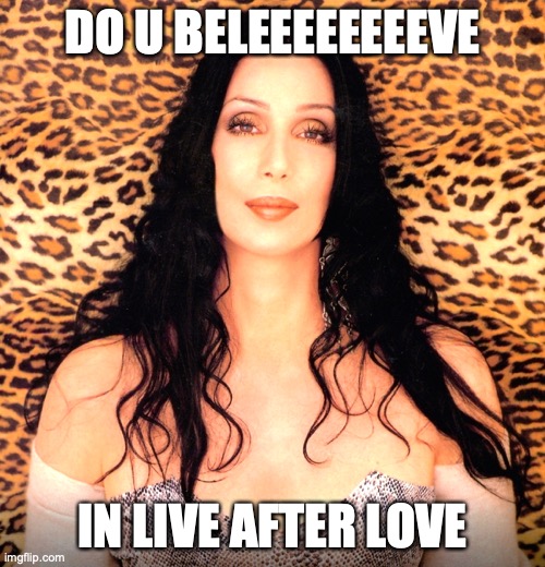 please cher | DO U BELEEEEEEEEVE; IN LIVE AFTER LOVE | image tagged in please cher | made w/ Imgflip meme maker