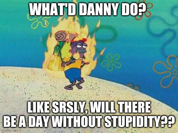 spongebob guy on fire | WHAT'D DANNY DO? LIKE SRSLY, WILL THERE BE A DAY WITHOUT STUPIDITY?? | image tagged in spongebob guy on fire | made w/ Imgflip meme maker