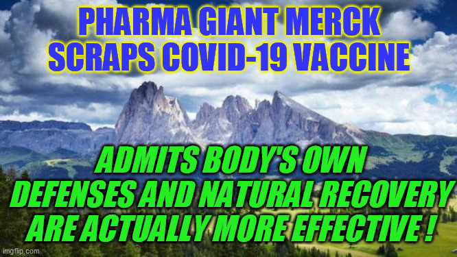 Eat it, vaxx-heads: fewer ACTUAL, non-bs deaths this way. Now the election's over they may finally admit herd immunity anyway. |  PHARMA GIANT MERCK SCRAPS COVID-19 VACCINE; ADMITS BODY'S OWN DEFENSES AND NATURAL RECOVERY ARE ACTUALLY MORE EFFECTIVE ! | image tagged in covid-19,vaccine side effects,coronavirus,natural immunity | made w/ Imgflip meme maker