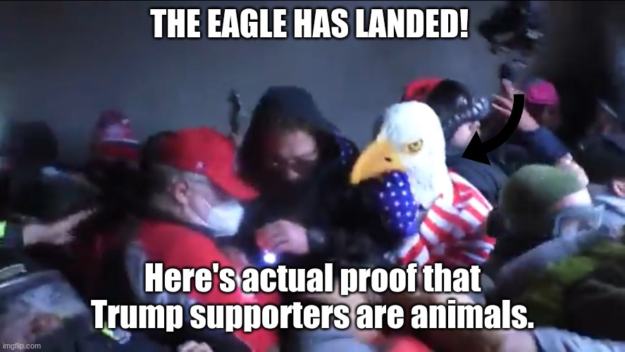Bird guy at capital riots | THE EAGLE HAS LANDED! Here's actual proof that Trump supporters are animals. | image tagged in capitol riot bird guy,politics,right wing douchebags | made w/ Imgflip meme maker