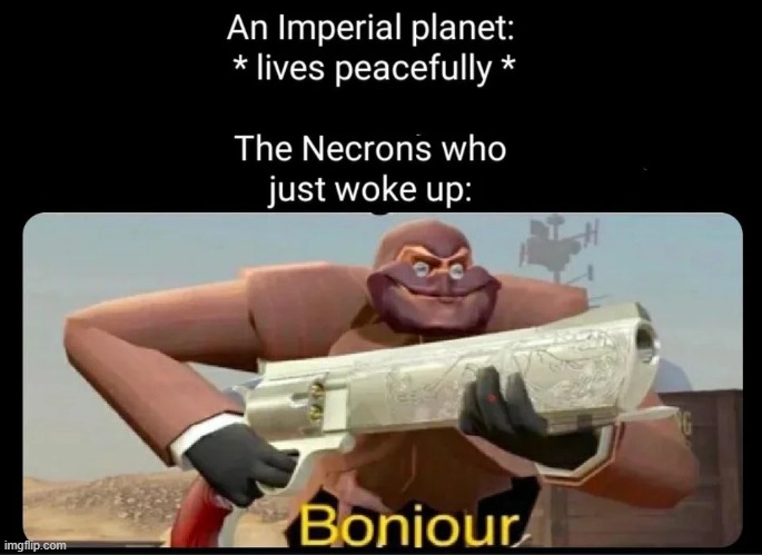 Repost from Reddit | image tagged in reddit,warhammer 40k | made w/ Imgflip meme maker