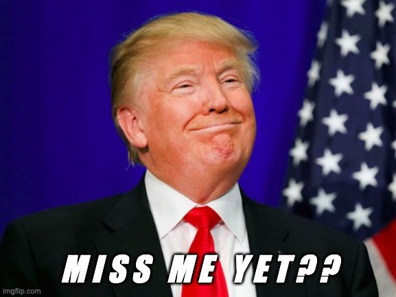 Miss Me Yet? | M I S S   M E   Y E T ? ? | image tagged in trump smile,miss me yet,donald trump,miss trump,patriot,drain the swamp trump | made w/ Imgflip meme maker