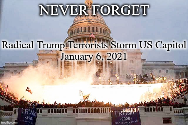 Trump Terrorists Storm US Capitol | NEVER FORGET; Radical Trump Terrorists Storm US Capitol
January 6, 2021 | image tagged in maga,never trump,impeach trump,qanon,usa | made w/ Imgflip meme maker