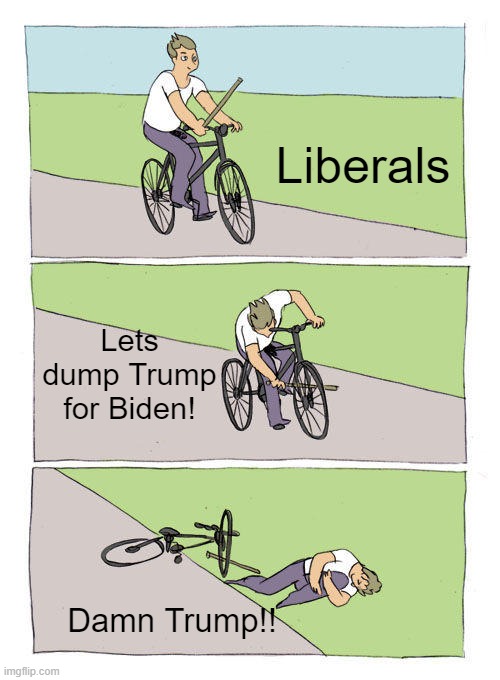 Bike Fall | Liberals; Lets dump Trump for Biden! Damn Trump!! | image tagged in memes,bike fall | made w/ Imgflip meme maker