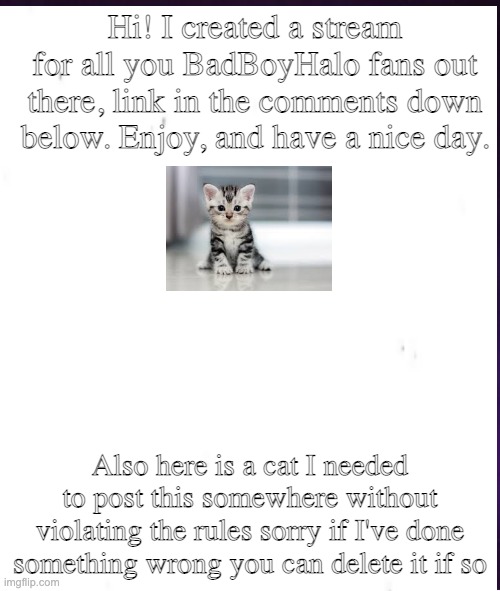 Sorry if this is a violation | Hi! I created a stream for all you BadBoyHalo fans out there, link in the comments down below. Enjoy, and have a nice day. Also here is a cat I needed to post this somewhere without violating the rules sorry if I've done something wrong you can delete it if so | image tagged in lol,cat | made w/ Imgflip meme maker