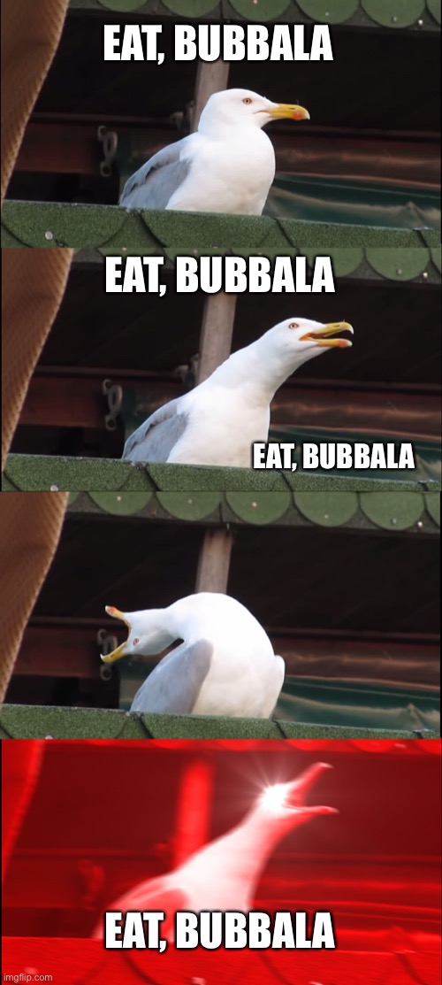 Inhaling Seagull Meme | EAT, BUBBALA; EAT, BUBBALA; EAT, BUBBALA; EAT, BUBBALA | image tagged in memes,inhaling seagull,jewish,hungry,grandma,funny memes | made w/ Imgflip meme maker