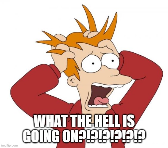 Panic | WHAT THE HELL IS GOING ON?!?!?!?!?!? | image tagged in panic | made w/ Imgflip meme maker