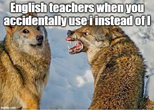 Wolf snarling meme/Wolf doge | English teachers when you accidentally use i instead of I | image tagged in wolf snarling meme/wolf doge | made w/ Imgflip meme maker