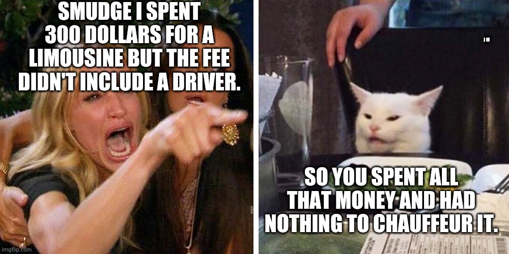 Smudge the cat | SMUDGE I SPENT 300 DOLLARS FOR A LIMOUSINE BUT THE FEE DIDN'T INCLUDE A DRIVER. J M; SO YOU SPENT ALL THAT MONEY AND HAD NOTHING TO CHAUFFEUR IT. | image tagged in smudge the cat | made w/ Imgflip meme maker