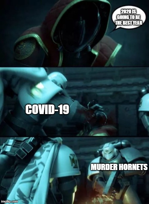 My last image of this stream, bye | 2020 IS GOING TO BE THE BEST YEAR; COVID-19; MURDER HORNETS | image tagged in astartes | made w/ Imgflip meme maker