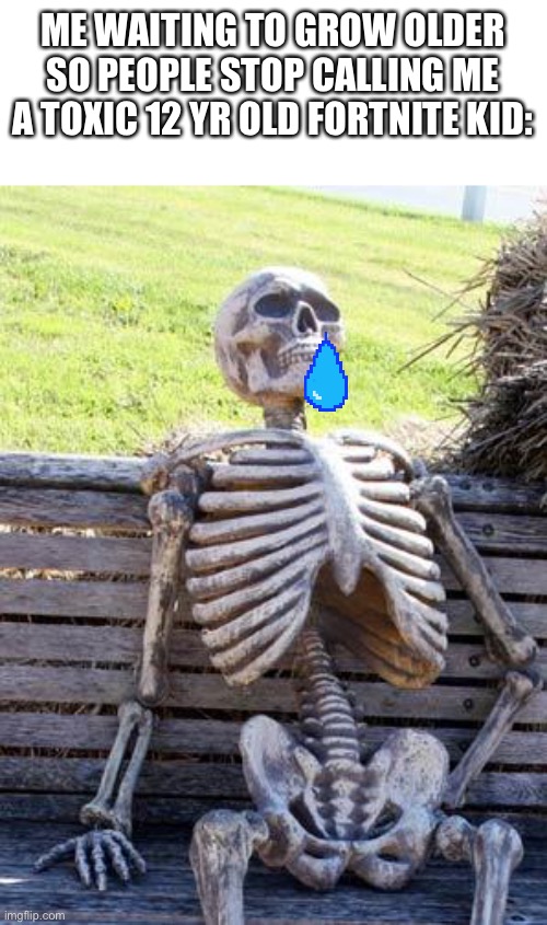 I’m 12 | ME WAITING TO GROW OLDER SO PEOPLE STOP CALLING ME A TOXIC 12 YR OLD FORTNITE KID: | image tagged in memes,waiting skeleton | made w/ Imgflip meme maker