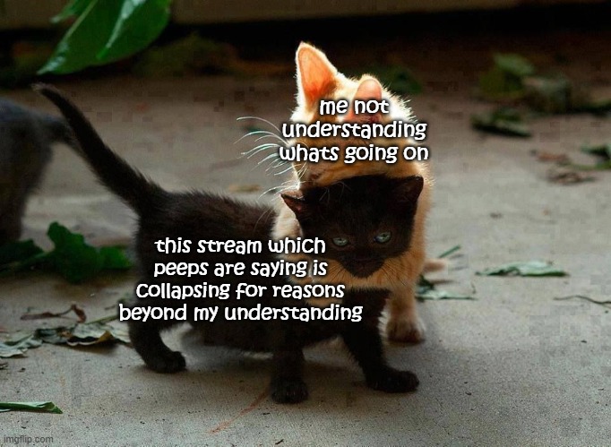 i wish i could just give the stream a hug because i love it so much lol idk wtf is going on anymore | me not understanding whats going on; this stream which peeps are saying is collapsing for reasons beyond my understanding | image tagged in kitten hug | made w/ Imgflip meme maker