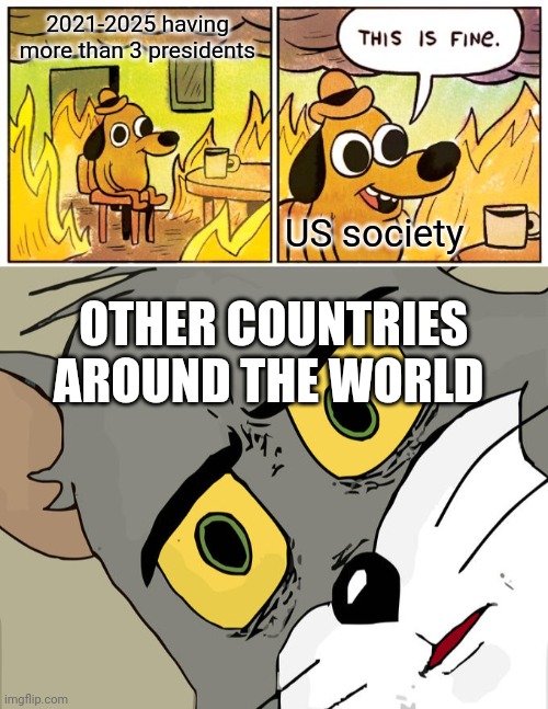 2021-2025 having more than 3 presidents; US society; OTHER COUNTRIES AROUND THE WORLD | image tagged in memes,this is fine,unsettled tom | made w/ Imgflip meme maker