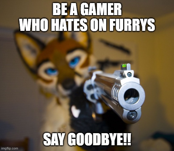 Srry I Have Not Posted In a While | BE A GAMER WHO HATES ON FURRYS; SAY GOODBYE!! | image tagged in furry with gun | made w/ Imgflip meme maker