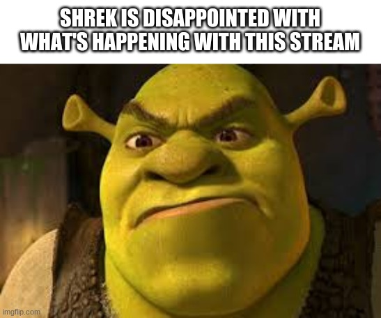 better wise up | SHREK IS DISAPPOINTED WITH WHAT'S HAPPENING WITH THIS STREAM | made w/ Imgflip meme maker