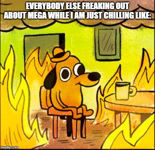 This is fine | EVERYBODY ELSE FREAKING OUT ABOUT MEGA WHILE I AM JUST CHILLING LIKE: | image tagged in this is fine | made w/ Imgflip meme maker