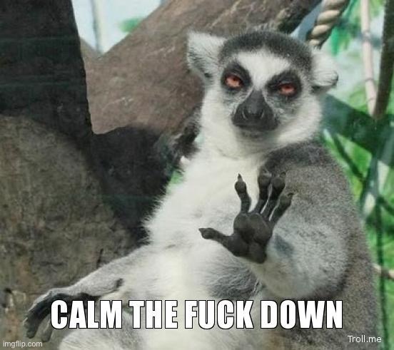 Please... | image tagged in ebba calm the fuck down | made w/ Imgflip meme maker