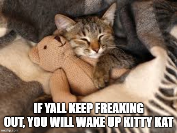 IF YALL KEEP FREAKING OUT, YOU WILL WAKE UP KITTY KAT | made w/ Imgflip meme maker