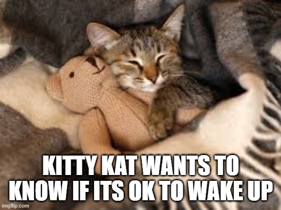 KITTY KAT WANTS TO KNOW IF ITS OK TO WAKE UP | made w/ Imgflip meme maker