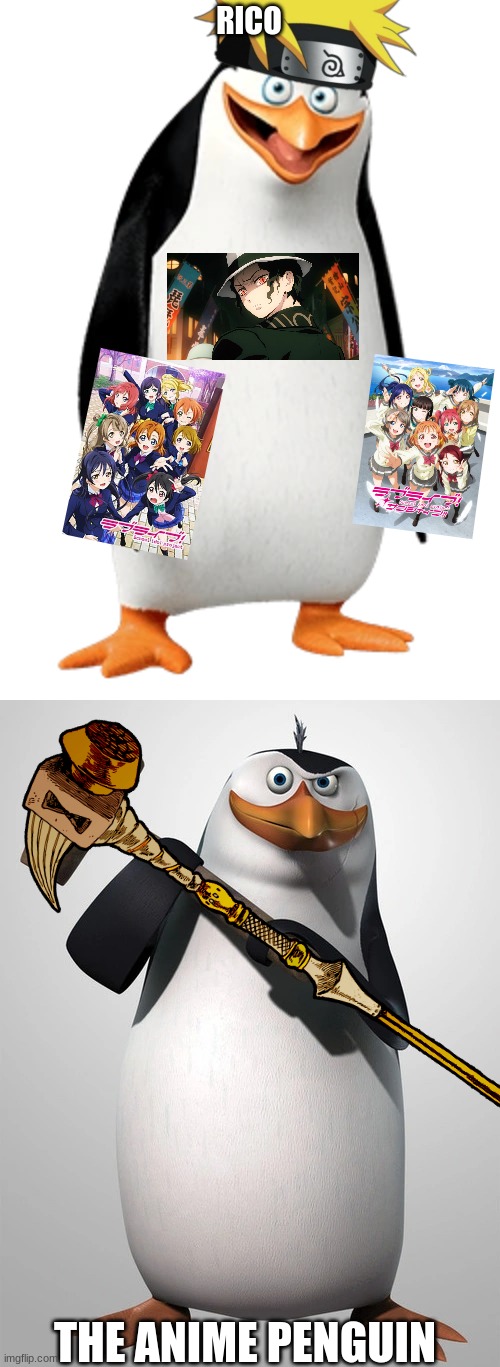 My Anime Penguin!!!! | RICO; THE ANIME PENGUIN | image tagged in penguin | made w/ Imgflip meme maker