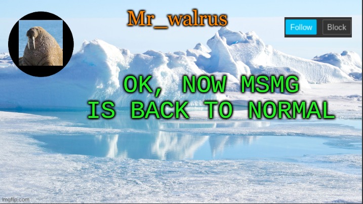 Mr_walrus | OK, NOW MSMG IS BACK TO NORMAL | image tagged in mr_walrus | made w/ Imgflip meme maker