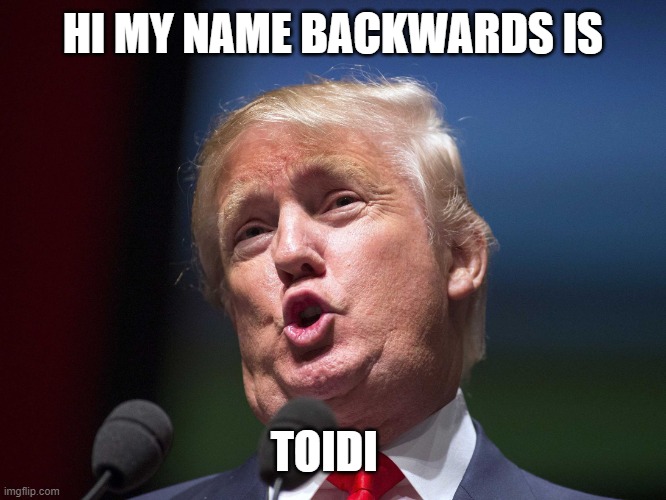 donald trump huge | HI MY NAME BACKWARDS IS; TOIDI | image tagged in donald trump huge | made w/ Imgflip meme maker
