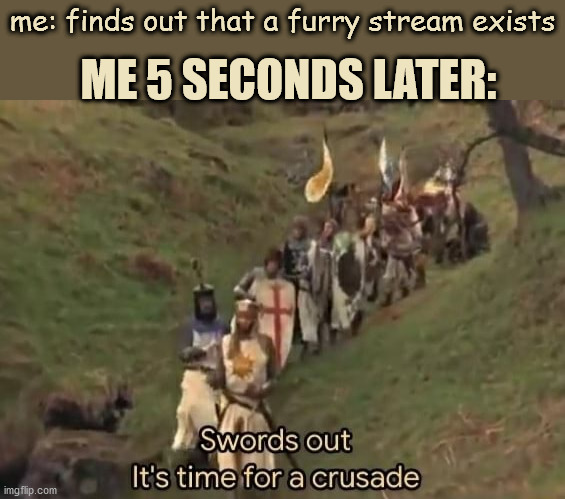 it's time for a crusade | me: finds out that a furry stream exists; ME 5 SECONDS LATER: | image tagged in swords out it's time for a crusade | made w/ Imgflip meme maker