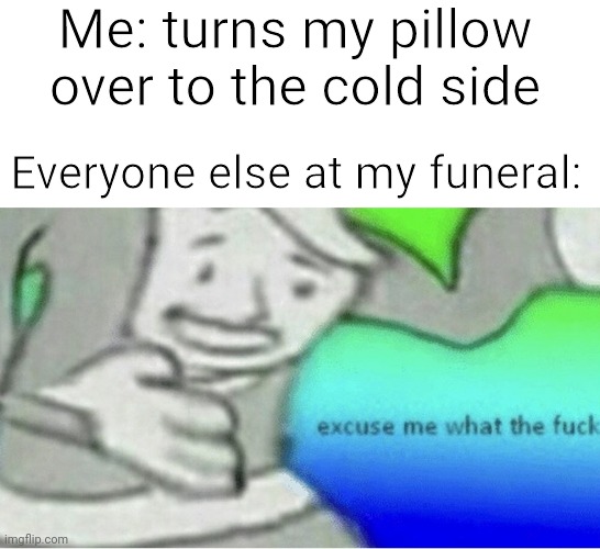 P a n i c c | Me: turns my pillow over to the cold side; Everyone else at my funeral: | image tagged in memes | made w/ Imgflip meme maker