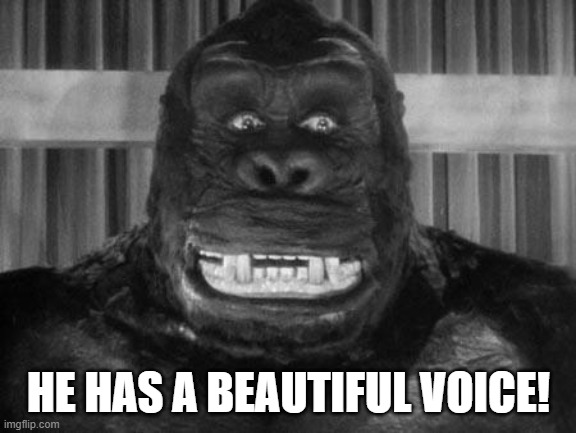King kong | HE HAS A BEAUTIFUL VOICE! | image tagged in king kong | made w/ Imgflip meme maker