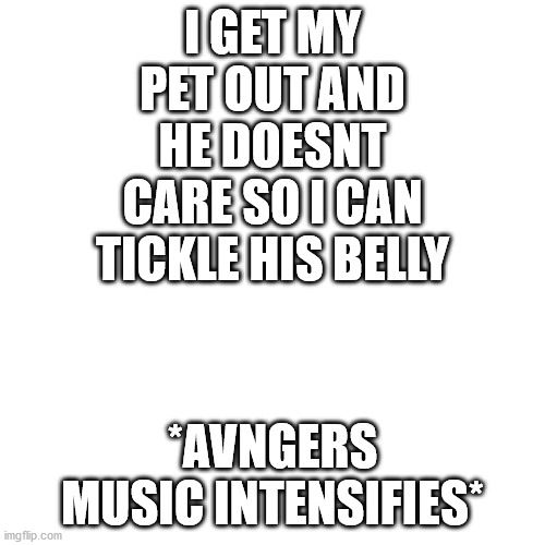 Blank Transparent Square | I GET MY PET OUT AND HE DOESNT CARE SO I CAN TICKLE HIS BELLY; *AVNGERS MUSIC INTENSIFIES* | image tagged in memes,blank transparent square,pets | made w/ Imgflip meme maker