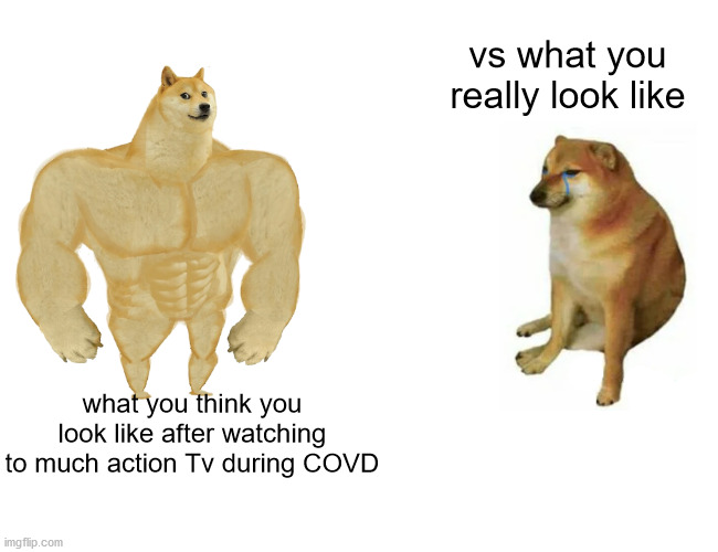 Buff Doge vs. Cheems Meme | vs what you really look like; what you think you look like after watching to much action Tv during COVD | image tagged in memes,buff doge vs cheems | made w/ Imgflip meme maker