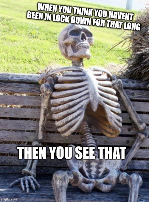 Waiting Skeleton | WHEN YOU THINK YOU HAVENT BEEN IN LOCK DOWN FOR THAT LONG; THEN YOU SEE THAT | image tagged in memes,waiting skeleton | made w/ Imgflip meme maker