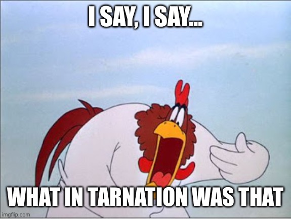 foghorn | I SAY, I SAY... WHAT IN TARNATION WAS THAT | image tagged in foghorn | made w/ Imgflip meme maker