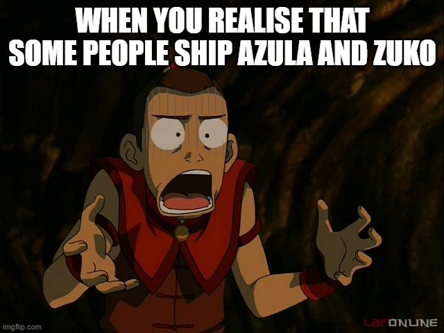 Why would you do that | WHEN YOU REALISE THAT SOME PEOPLE SHIP AZULA AND ZUKO | image tagged in sokka what | made w/ Imgflip meme maker