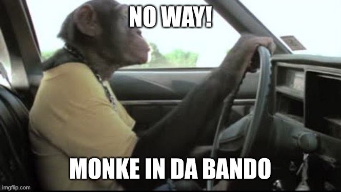 monke in bando | image tagged in monke,monkey,car,bando | made w/ Imgflip meme maker