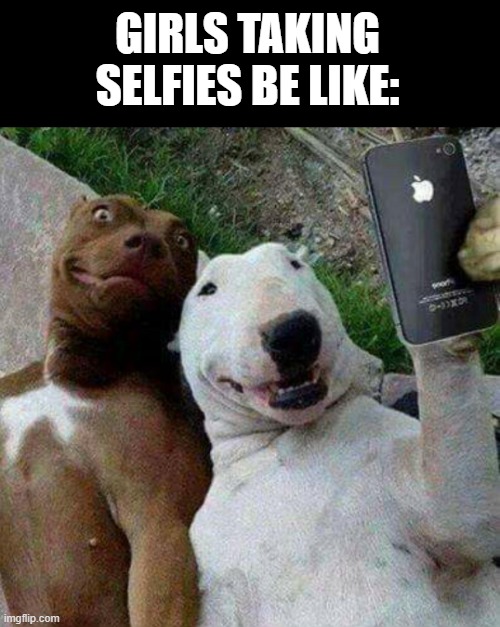 Selfie! | GIRLS TAKING SELFIES BE LIKE: | image tagged in funny,fun,dogs,girls,memes,funny memes | made w/ Imgflip meme maker
