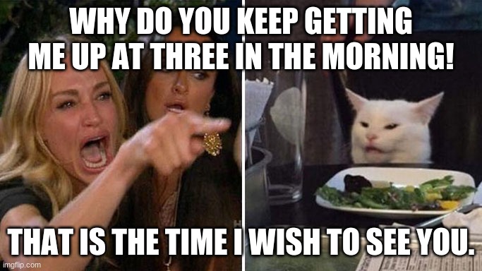 Angry lady cat | WHY DO YOU KEEP GETTING ME UP AT THREE IN THE MORNING! THAT IS THE TIME I WISH TO SEE YOU. | image tagged in angry lady cat | made w/ Imgflip meme maker