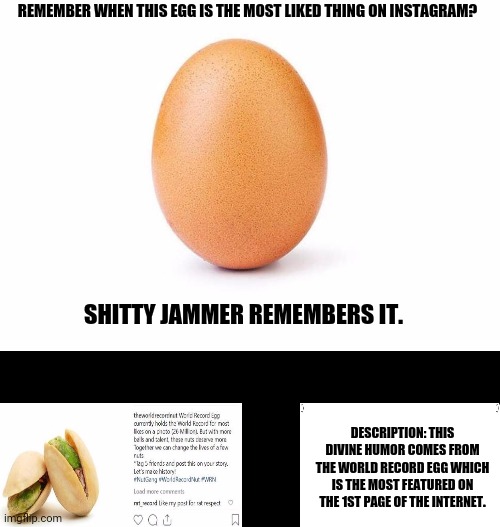 Eggbert | REMEMBER WHEN THIS EGG IS THE MOST LIKED THING ON INSTAGRAM? SHITTY JAMMER REMEMBERS IT. DESCRIPTION: THIS DIVINE HUMOR COMES FROM THE WORLD RECORD EGG WHICH IS THE MOST FEATURED ON THE 1ST PAGE OF THE INTERNET. | image tagged in memes,eggs,anime is the best show | made w/ Imgflip meme maker