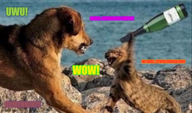 cat vs. dog | UWU! OHAIO, NYANKORIN SENPAI! NO JOKES, STUPID CURSED DOG! WOW! GOMENNEH!!! | image tagged in memes,horny harry,anime carry | made w/ Imgflip meme maker