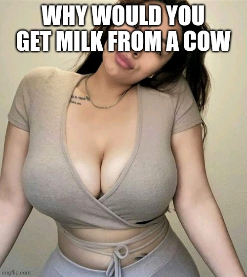 Ninja star | WHY WOULD YOU GET MILK FROM A COW | image tagged in ninja star | made w/ Imgflip meme maker