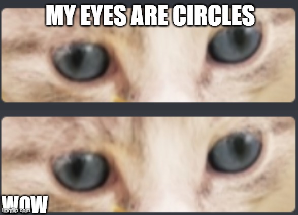 e | MY EYES ARE CIRCLES; WOW | image tagged in one does not simply | made w/ Imgflip meme maker