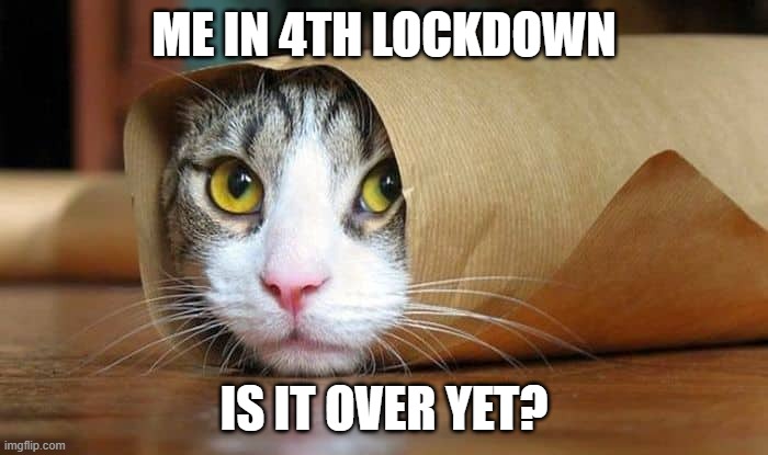 ha | ME IN 4TH LOCKDOWN; IS IT OVER YET? | image tagged in funny | made w/ Imgflip meme maker
