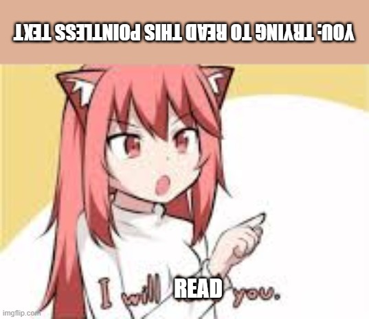 I Will Lewd You | YOU: TRYING TO READ THIS POINTLESS TEXT; READ | image tagged in i will lewd you | made w/ Imgflip meme maker