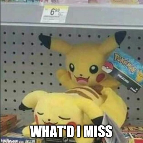 WHAT'D I MISS | made w/ Imgflip meme maker