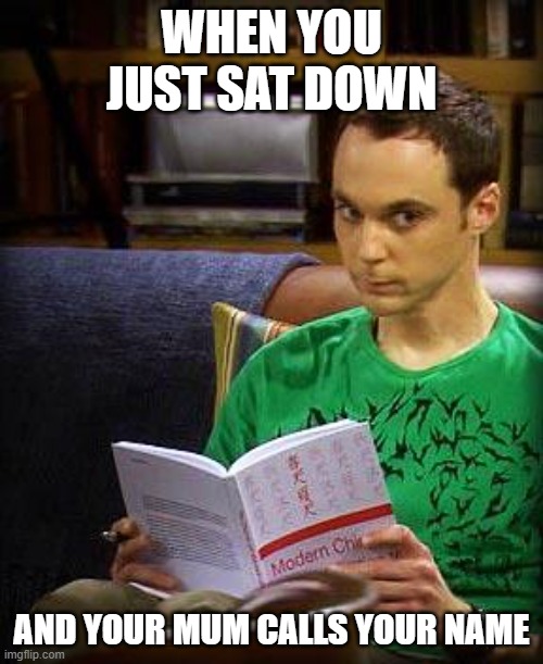 Sheldon Cooper | WHEN YOU JUST SAT DOWN; AND YOUR MUM CALLS YOUR NAME | image tagged in sheldon cooper | made w/ Imgflip meme maker